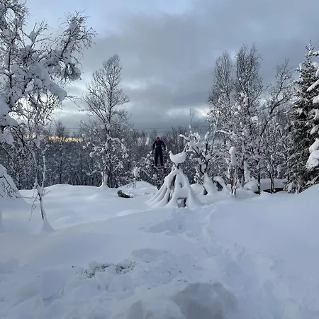 Апартаменты Casa Sapmi *