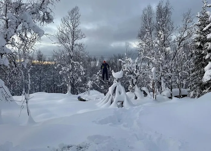 Leilighet Casa Sapmi *